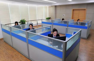 蒼南縣96345社會救助服務熱線今日開通，365天24小時全天候守護民生